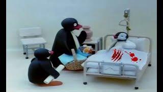 Pingu 2019 | The Best Funny cartoon 2019 HD ► The newest compilation 2019 #19