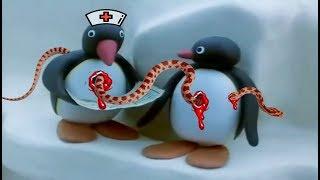 Pingu 2019 | The Best Funny cartoon 2019 HD ► The newest compilation 2019 #15