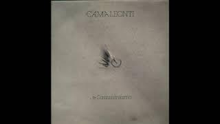 -... E CAMMINIAMO  - I CAMALEONTI  - ( - DURIUM – MS AL 77408 – 1979 - ) - FULL ALBUM