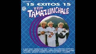 Trio Tamazunchale - 15 Exitos (Disco Completo)
