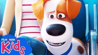 PETS 2 - VITA DA ANIMALI (2019) | Trailer del sequel dedicato al cagnolino Max!