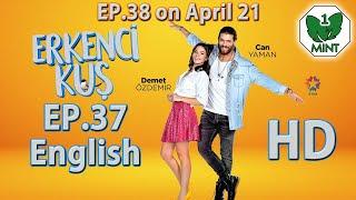 Early Bird - Erkenci Kus 37 English Subtitles Full Episode HD