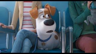 The Secret Life of Pets 2 | The Max Trailer
