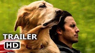 THE ART OF RACING IN THE RAIN Trailer (2019) Romantic Comedy Movie