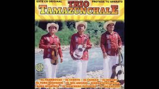 Trio Tamazunchale - Trio Tamazunchale (Disco Completo)
