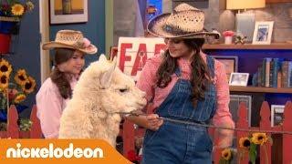 I Thunderman | Alpaca in salotto | Nickelodeon Italia