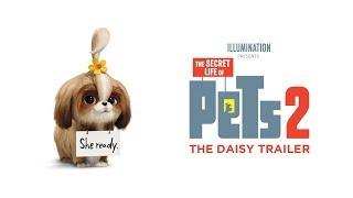 Secret Life Of Pets 2 - Tráiler Oficial