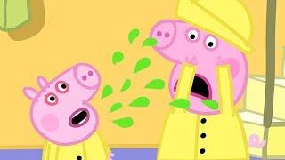Peppa Pig Italiano - George prende il raffreddore - Collezione Italiano - Cartoni Animati