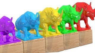 Impara i colori in italiano con i Rinoceronti e la piscina colorata. Imparare i colori per bambini